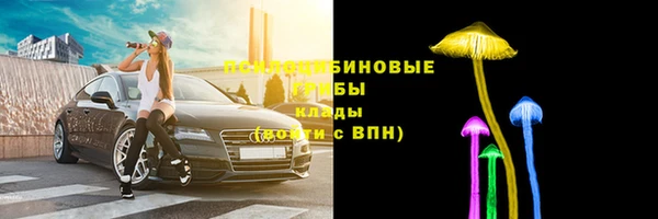 ешки Богданович