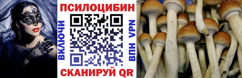 Псилоцибиновые грибы прущие грибы  цена   Волжский 